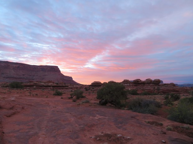 20170403065754_IMG_1640