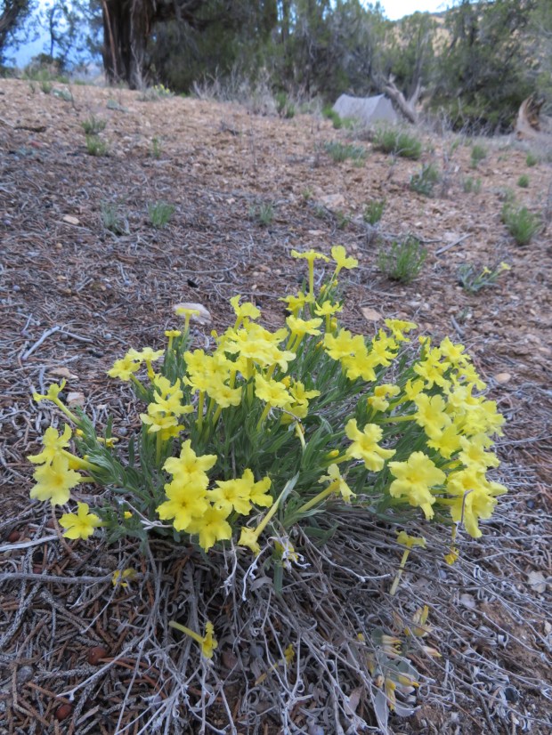 20170424194418_IMG_2994