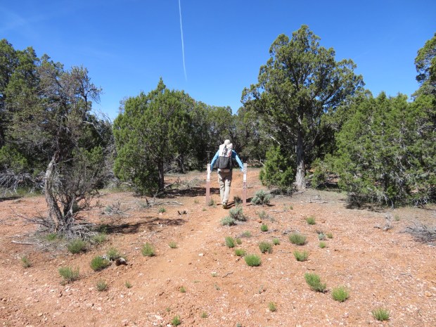 20170503105736_IMG_3808