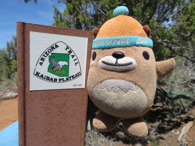 20170503134539_IMG_3813