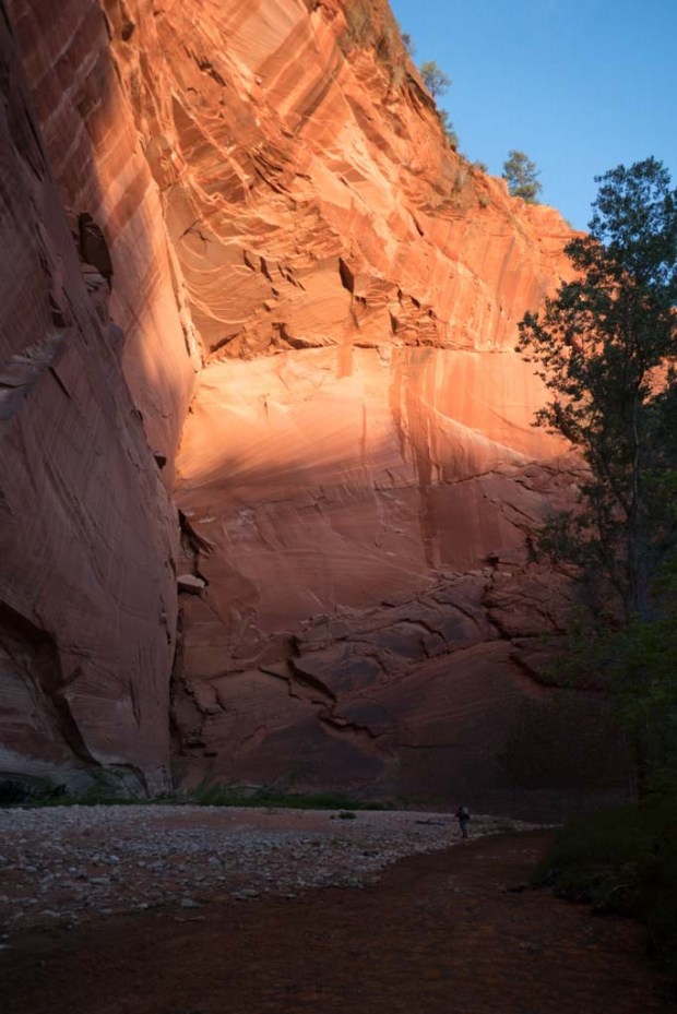 20170528-P1140433 (2)