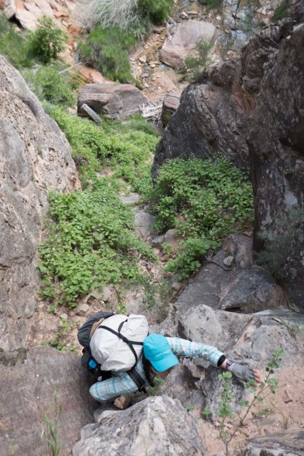 20170528-P1140498 (2)