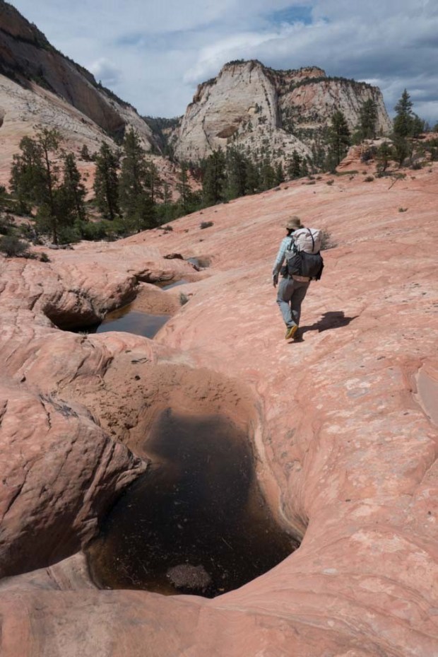 20170528-P1140520 (2)