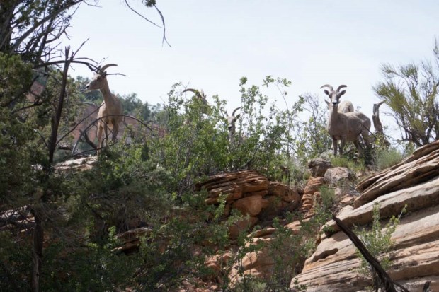 20170528-P1140532 (2)