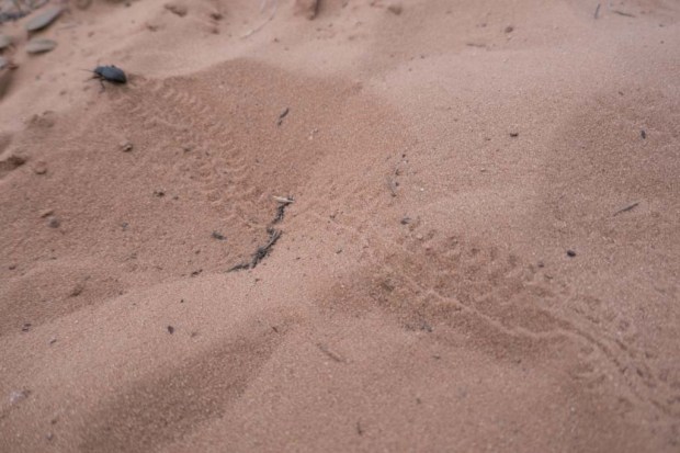 20170528-P1140538 (2)