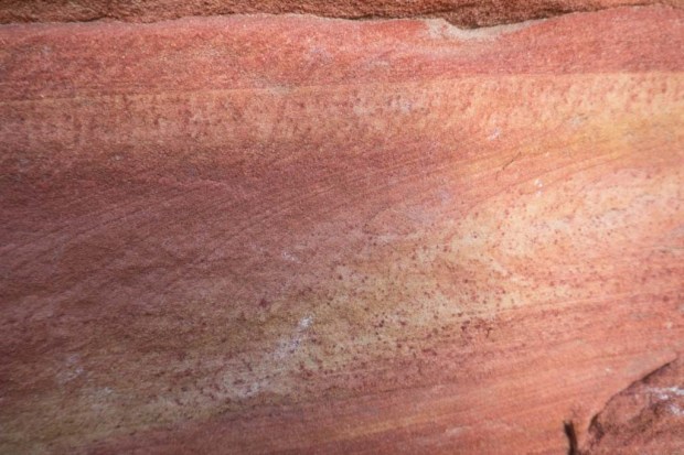 20170528-P1140571 (2)