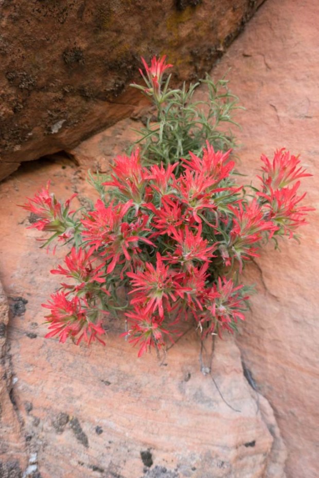 20170528-P1140585 (2)