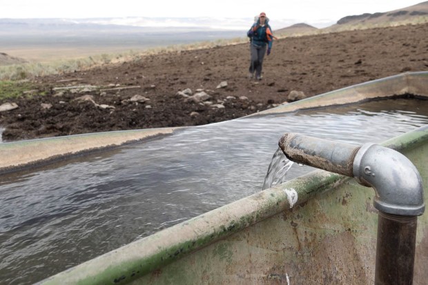 Day16GabrielMithcellSpring